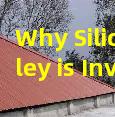 Why Silicon Valley is Investing in Advanced Roofing Polymers